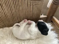 processed/788a7f04-9c0d-49e1-9e56-e45bfd8aa473/listing/10d61cf5-ebcb-4f48-b399-f6c9893d16d7/488378f1-7c0c-4a05-aafa-39c9a97fbd07