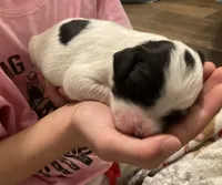 processed/788a7f04-9c0d-49e1-9e56-e45bfd8aa473/listing/10d61cf5-ebcb-4f48-b399-f6c9893d16d7/88d9c681-1cb5-45b8-a752-24688026da24