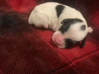 processed/788a7f04-9c0d-49e1-9e56-e45bfd8aa473/listing/10d61cf5-ebcb-4f48-b399-f6c9893d16d7/d1fe9de6-6f7f-46fd-bfb6-8b7e40bc849c