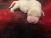 processed/788a7f04-9c0d-49e1-9e56-e45bfd8aa473/listing/50c09f50-209a-42d4-bd52-59e9390c7e37/135000e4-6f77-4a67-8654-d21b361563b7