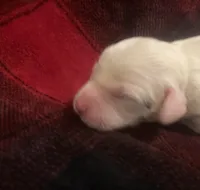 processed/788a7f04-9c0d-49e1-9e56-e45bfd8aa473/listing/50c09f50-209a-42d4-bd52-59e9390c7e37/33926d2b-3467-4fab-82c6-296bc3c99cfe