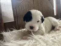 processed/788a7f04-9c0d-49e1-9e56-e45bfd8aa473/listing/51b455a4-b10e-42d3-b957-67857ddfc088/1f9a0316-7e56-428e-ae43-c5ab7aa98a52