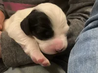 processed/788a7f04-9c0d-49e1-9e56-e45bfd8aa473/listing/51b455a4-b10e-42d3-b957-67857ddfc088/74341c72-4810-4209-9ff8-6346d98805ab