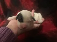 processed/788a7f04-9c0d-49e1-9e56-e45bfd8aa473/listing/51b455a4-b10e-42d3-b957-67857ddfc088/e13d65fa-ee58-4d20-bd7a-3286f8d81eb2