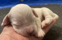 processed/788a7f04-9c0d-49e1-9e56-e45bfd8aa473/listing/6bc61b59-238f-40c0-9ecc-0f2d557c2e41/4057710c-269f-4e21-a1ea-b7c2e378cbc6