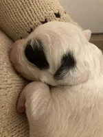 processed/788a7f04-9c0d-49e1-9e56-e45bfd8aa473/listing/70ad1bca-e34d-4045-8eb1-db502049cf7a/1781d025-380b-4b2f-bd3f-c77b2b68425c