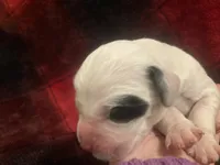 processed/788a7f04-9c0d-49e1-9e56-e45bfd8aa473/listing/70ad1bca-e34d-4045-8eb1-db502049cf7a/2e477bd3-abec-437f-9880-c094a6f1641d