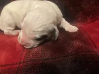 processed/788a7f04-9c0d-49e1-9e56-e45bfd8aa473/listing/70ad1bca-e34d-4045-8eb1-db502049cf7a/336c4022-e86b-4e2f-8a5c-494c8dcee99d