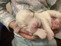 processed/788a7f04-9c0d-49e1-9e56-e45bfd8aa473/listing/89c81f63-6008-446d-88fb-ea8047415b9e/167da23a-221e-415b-b03f-38ac55c8539f