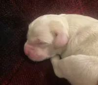 processed/788a7f04-9c0d-49e1-9e56-e45bfd8aa473/listing/89c81f63-6008-446d-88fb-ea8047415b9e/6f94be5e-a2f9-4643-984a-29331126608d