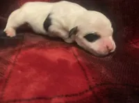 processed/788a7f04-9c0d-49e1-9e56-e45bfd8aa473/listing/b570bf99-2788-421e-b167-c70ce757c0de/226a8ffb-e5ad-41a1-9f39-f2d0dcf726b5