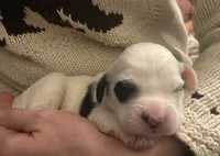 processed/788a7f04-9c0d-49e1-9e56-e45bfd8aa473/listing/b570bf99-2788-421e-b167-c70ce757c0de/373cba72-c388-4f4e-84b5-1d8cdd3a5ec2