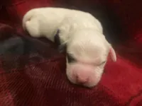 processed/788a7f04-9c0d-49e1-9e56-e45bfd8aa473/listing/b570bf99-2788-421e-b167-c70ce757c0de/550a26d6-83f5-4807-9220-1f56076815b4