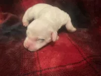 processed/788a7f04-9c0d-49e1-9e56-e45bfd8aa473/listing/b570bf99-2788-421e-b167-c70ce757c0de/b45c6950-9e74-45e0-a671-7adbf4feb11e