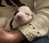 processed/788a7f04-9c0d-49e1-9e56-e45bfd8aa473/listing/b570bf99-2788-421e-b167-c70ce757c0de/f396aa68-1272-4284-b3b6-fb4814b1f47f