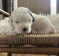 processed/788a7f04-9c0d-49e1-9e56-e45bfd8aa473/listing/fd2a7e17-8325-41a0-bea0-d83aa0164b96/40ad0042-cf4c-4e1b-b2b6-c5cf64dc0144