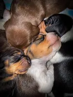 processed/789631d5-5490-43a1-ad58-500b7c9ca399/facility/286711c2-4cbb-476d-ae82-2863ad2679b2