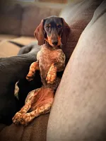 processed/789631d5-5490-43a1-ad58-500b7c9ca399/facility/586e7a0b-32d0-4506-bb9f-42b863f2b454