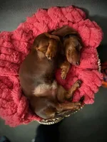 processed/789631d5-5490-43a1-ad58-500b7c9ca399/facility/77e3959c-5e6d-48d1-bb6c-51ff7f903ebc