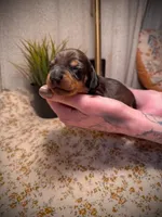 processed/789631d5-5490-43a1-ad58-500b7c9ca399/facility/95045556-7dd4-4847-aa17-5d732e433fd6