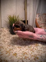 processed/789631d5-5490-43a1-ad58-500b7c9ca399/facility/b63d3966-1c3f-479e-bf30-bb683fc59dc3