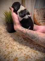 processed/789631d5-5490-43a1-ad58-500b7c9ca399/facility/be80cf4b-cc79-4ae5-bbcc-f3726c7b5a85