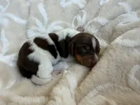 processed/789631d5-5490-43a1-ad58-500b7c9ca399/listing/042eeea8-6409-4ba1-a223-922454e8beb6/130a4e62-f789-48e2-91fc-d9b6e6e5fdb4