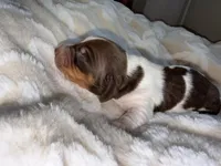 processed/789631d5-5490-43a1-ad58-500b7c9ca399/listing/042eeea8-6409-4ba1-a223-922454e8beb6/648edd1c-9260-4eea-8505-2905fdeb07f9