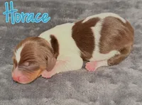 processed/789631d5-5490-43a1-ad58-500b7c9ca399/listing/042eeea8-6409-4ba1-a223-922454e8beb6/8710ff75-9877-4bb3-a849-ed3983ed62db