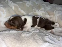 processed/789631d5-5490-43a1-ad58-500b7c9ca399/listing/042eeea8-6409-4ba1-a223-922454e8beb6/9ddd54ab-0053-4965-8cdc-148b5eb4be4d