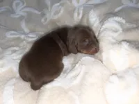 processed/789631d5-5490-43a1-ad58-500b7c9ca399/listing/22cf767a-b67e-4da7-8c45-bd59a030038f/28942867-1d65-4f2d-9d67-a5044be54e55