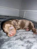 processed/789631d5-5490-43a1-ad58-500b7c9ca399/listing/22cf767a-b67e-4da7-8c45-bd59a030038f/40910bac-8895-412b-af55-fb91c2dc67ff