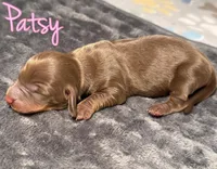 processed/789631d5-5490-43a1-ad58-500b7c9ca399/listing/22cf767a-b67e-4da7-8c45-bd59a030038f/4671ddcd-d850-4089-9068-744cf1ac9c0f