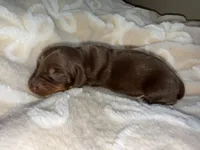 processed/789631d5-5490-43a1-ad58-500b7c9ca399/listing/22cf767a-b67e-4da7-8c45-bd59a030038f/4dbc5f17-36d9-428e-9e34-cb0b0a10feaf