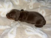 processed/789631d5-5490-43a1-ad58-500b7c9ca399/listing/22cf767a-b67e-4da7-8c45-bd59a030038f/6cd44127-0a63-4e47-b8f7-5b80cd297e90