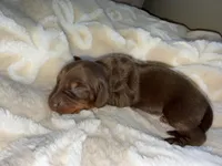 processed/789631d5-5490-43a1-ad58-500b7c9ca399/listing/22cf767a-b67e-4da7-8c45-bd59a030038f/831650eb-eee2-499e-ba52-f77e2d5457fc