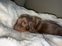 processed/789631d5-5490-43a1-ad58-500b7c9ca399/listing/22cf767a-b67e-4da7-8c45-bd59a030038f/b5935a73-1b15-4f8c-bb3c-0a7c1e561f07