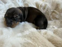 processed/789631d5-5490-43a1-ad58-500b7c9ca399/listing/76bc0e55-1e16-424e-86dc-2ac402a99769/14b5211c-f9fc-4ec3-905c-781d8bd4694d