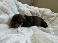 processed/789631d5-5490-43a1-ad58-500b7c9ca399/listing/76bc0e55-1e16-424e-86dc-2ac402a99769/8b29613f-da73-46d2-ad76-a345d8f6ba60