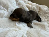 processed/789631d5-5490-43a1-ad58-500b7c9ca399/listing/76bc0e55-1e16-424e-86dc-2ac402a99769/f8ba4288-d5d2-428e-9fc8-adea4ad457ba