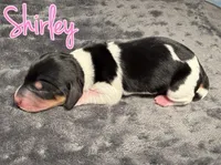 processed/789631d5-5490-43a1-ad58-500b7c9ca399/listing/adc4cbbc-47d7-4312-9fab-ef69ca82637d/0872b41c-6635-4df5-b36f-b143bcfcd2b6