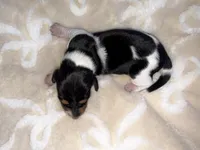 processed/789631d5-5490-43a1-ad58-500b7c9ca399/listing/adc4cbbc-47d7-4312-9fab-ef69ca82637d/677243d9-985f-49a6-a8a4-f3728f5a7ed6