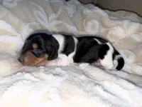 processed/789631d5-5490-43a1-ad58-500b7c9ca399/listing/adc4cbbc-47d7-4312-9fab-ef69ca82637d/90937fc8-bc57-4417-ba85-165a59bf65e1