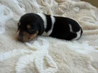 processed/789631d5-5490-43a1-ad58-500b7c9ca399/listing/adc4cbbc-47d7-4312-9fab-ef69ca82637d/91b0f853-8f15-48af-b523-9bf7d842e0a9