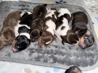 processed/789631d5-5490-43a1-ad58-500b7c9ca399/listing/adc4cbbc-47d7-4312-9fab-ef69ca82637d/d3227c4d-422d-4297-9333-c55ce4032a7e