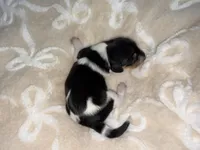 processed/789631d5-5490-43a1-ad58-500b7c9ca399/listing/adc4cbbc-47d7-4312-9fab-ef69ca82637d/e43ae65a-87fd-416b-a66f-307143b809e6