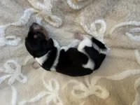 processed/789631d5-5490-43a1-ad58-500b7c9ca399/listing/adc4cbbc-47d7-4312-9fab-ef69ca82637d/e9ae7467-1b2a-4951-86d3-955ef52507d1