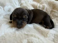 processed/789631d5-5490-43a1-ad58-500b7c9ca399/listing/c412b366-5f46-43be-ac7a-9e549cfa271f/658a8ad4-2e02-48df-a9b7-bfbca8ccea4b