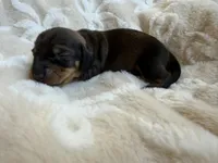 processed/789631d5-5490-43a1-ad58-500b7c9ca399/listing/c412b366-5f46-43be-ac7a-9e549cfa271f/9df0574a-9eeb-459c-86d5-8f5620fa88cf