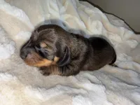 processed/789631d5-5490-43a1-ad58-500b7c9ca399/listing/c412b366-5f46-43be-ac7a-9e549cfa271f/9fc3f389-9045-45df-8043-1f3cc1a26a87